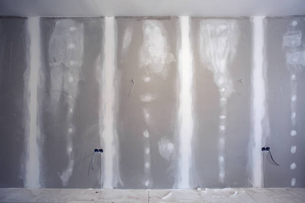 Best Mold Odor Removal Services  in USA